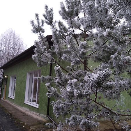 Смарт-Апартаменти " Lutskyj Zamok" Kültér fotó
